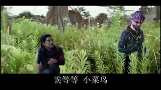 你是来偷伴妖草的吧