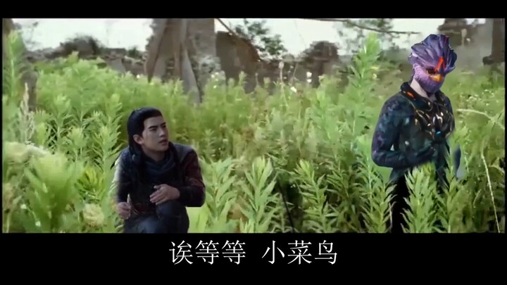 你是来偷伴妖草的吧