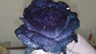 Crystal Rose 3.0 Alum Rose