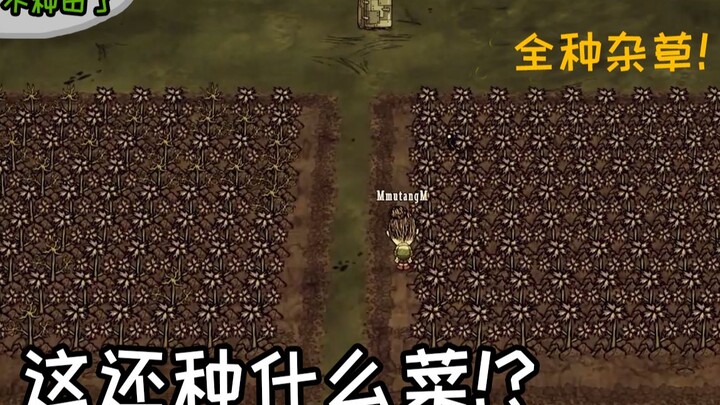 I’m done with farming! I’m going to grow weeds instead!