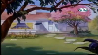 Tom and jerry in bangla ep 37