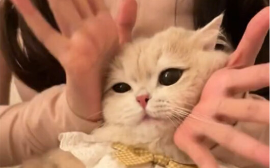 Bunga mekar berhasil!