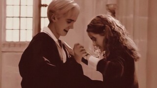 [Draco X Hermione/ Nổi Gió Rồi] Tôi Từng Dành Cả Thanh Xuân Cho Cô Ấy