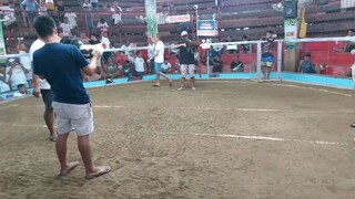 1 cock fastest kill 1 win 1 loss poh hnd nka pasok s fastest kill ung grey 19. sec lng