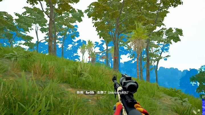 “The Green Player’s Stubbornness”