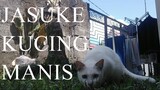 Jasuke Kucing Manis