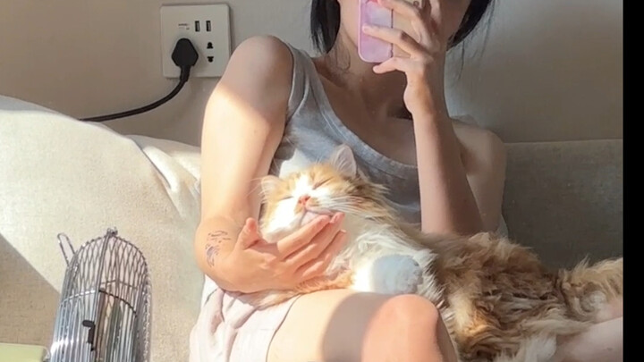 เดินเคารพด้วยท่าเดินตรง แล้วก็ล้มตัวนั่งลงในอ้อมกอดของคน