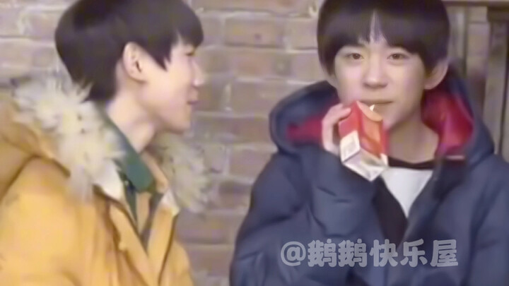 TFBOYS กับ EXO ยุคแรก เหมือนมังกรซ่อนและหงส์หลบเลย