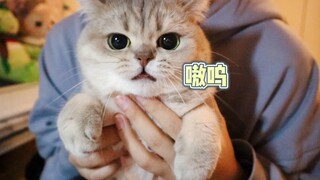 นาย! ใช่เลย นาย! เข้ามาโดนด่าสิ!