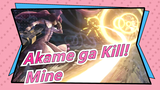 [Akame ga Kill!] Mine: I've Already... Won!