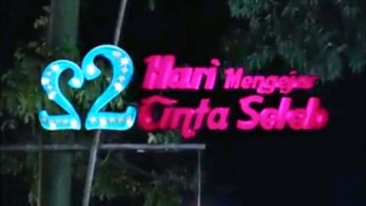 22 Hari Mengejar Cinta Seleb