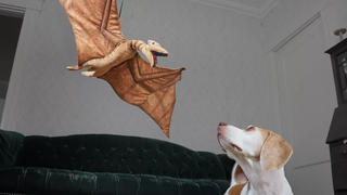 Dog vs Flying Dino/Dragon Game of Thrones Edition Maymo