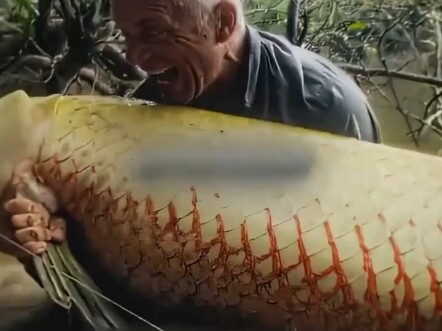 Dengan demikian, acara memancing legendaris selama sepuluh tahun ini telah berakhir, dan pembawa aca