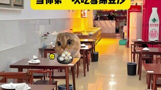 When Southerners Try Snowy Cotton Bean Paste for the First Time