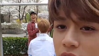 مجموعة NCT 1.0 الصادقة التي ليست مضحكة على الإطلاق