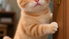 ❤️❤️🐈