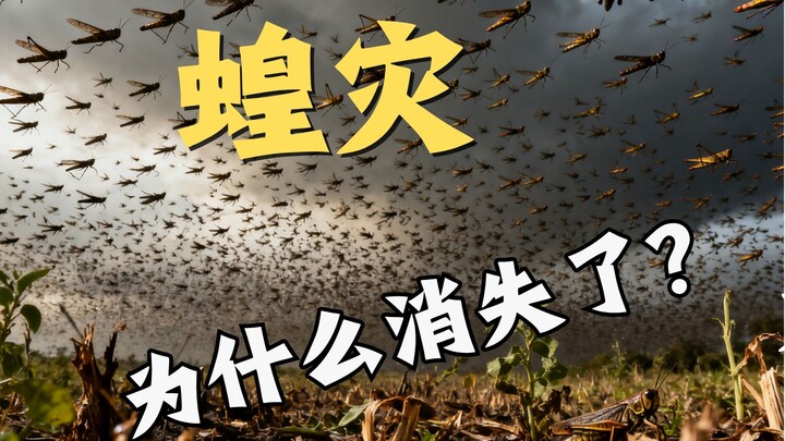 Why Did China’s Millennia-Long Locust Plagues Disappear?