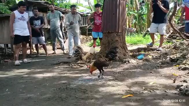 part.1 binabae alimbuyogin x pumpkin hatch ( Win )