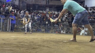 WIN 3hits pilar coliseum. WWL 2/14/25