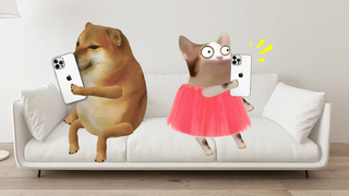 看我干嘛，肯定不是我