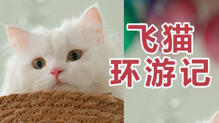 Kakiku hanya sepanjang 2,5 cm, tetapi aku pernah pergi ke tempat yang tingginya 2 m.