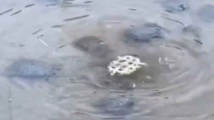 When Your Friend Is in Trouble