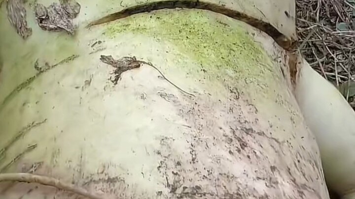 The New Year vibes haven’t faded yet, and 15 photographic prodigies have already risen to fame!