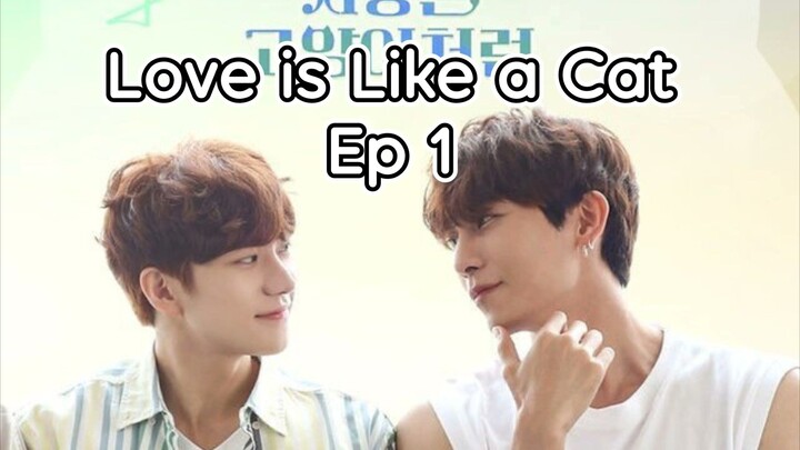 [Eng] Love.Is.Like.A.Cat Ep 1