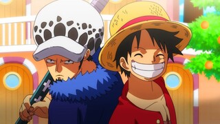 Luffy Invites Law to Join the Straw Hat Pirates and Seek Revenge on Teach - One Piece