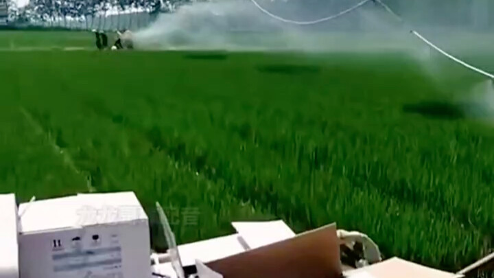 The wisdom of the working people is truly mind-blowing!