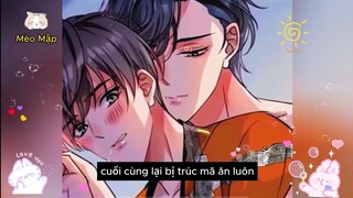 Review Truyện :Xuyên sách vào thế giới dam mỹ ,1 người có 6 giới tính thì sẽ như thê nào ?