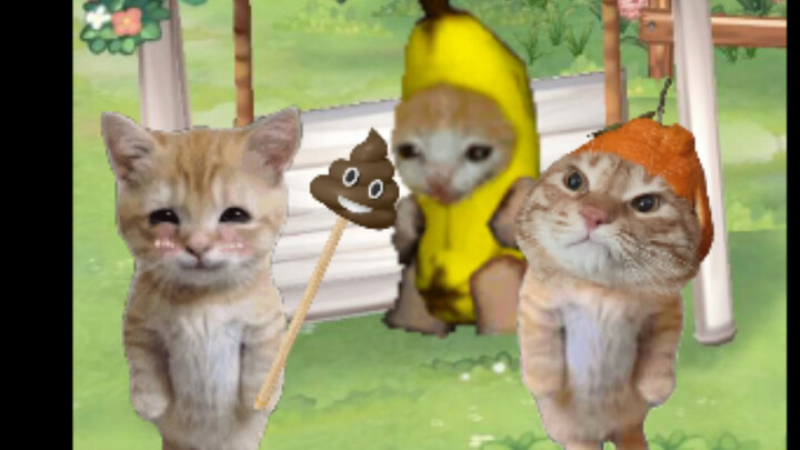 قطة الموز الشرسة