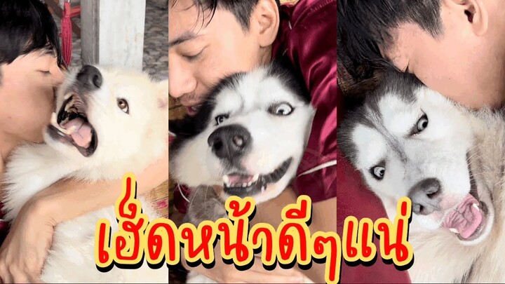 ลองอ้อน 4 ข้าว นึกว่าจะยอมให้อ้อนง่ายๆเกือบโดนกัดปากแตกอีกรอบ!