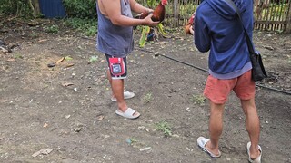 #native line...
