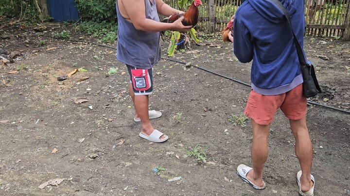 #native line...