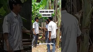 GASAK DUA COWO FILM PENEK  #filmkomedi #filmpendek #xxl