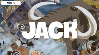 Top 5 Thanh Niên Máu Liều Nhiều Hơn Máu Não trong One Piece #13- 5