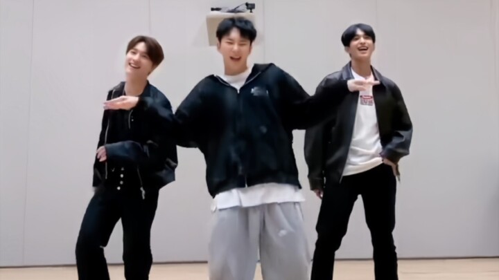 SVT Life Video Collection (Dance