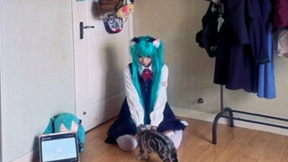 うに~\(≧▽≦)/~喵喵喵！