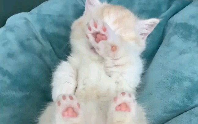 ดูจบแล้วคุณก็จะรู้ว่าควรส่งให้ใคร