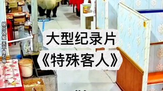 大型纪录片《特殊客人》