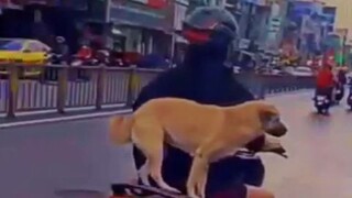 Riding Grrrty.