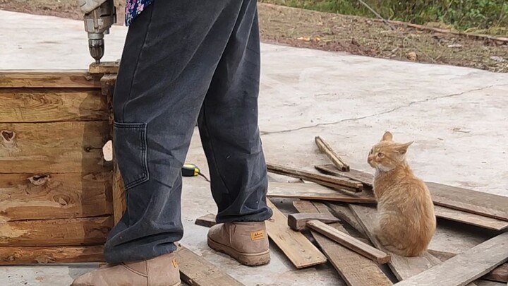 “My Thoughtful Owner” Is Renovating My Villa for Me