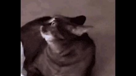 Your red nose fell off—pick it up!