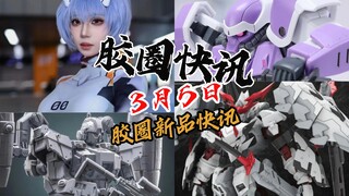 【3月5日胶圈快讯】