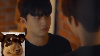 [Love My Star 2] Who can resist the crying gong? It's so cute when he cries and apologizes at the sa