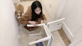 Today, let’s reveal my girlfriend’s weight!!