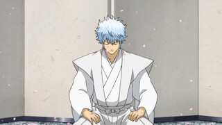 银魂全体角色谢罪篇