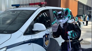 عذراً... ظننت أنه لا أحد في السيارة...