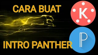 INTRO PANTHER